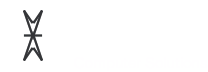iolani Computer Solutions GmbH Logo